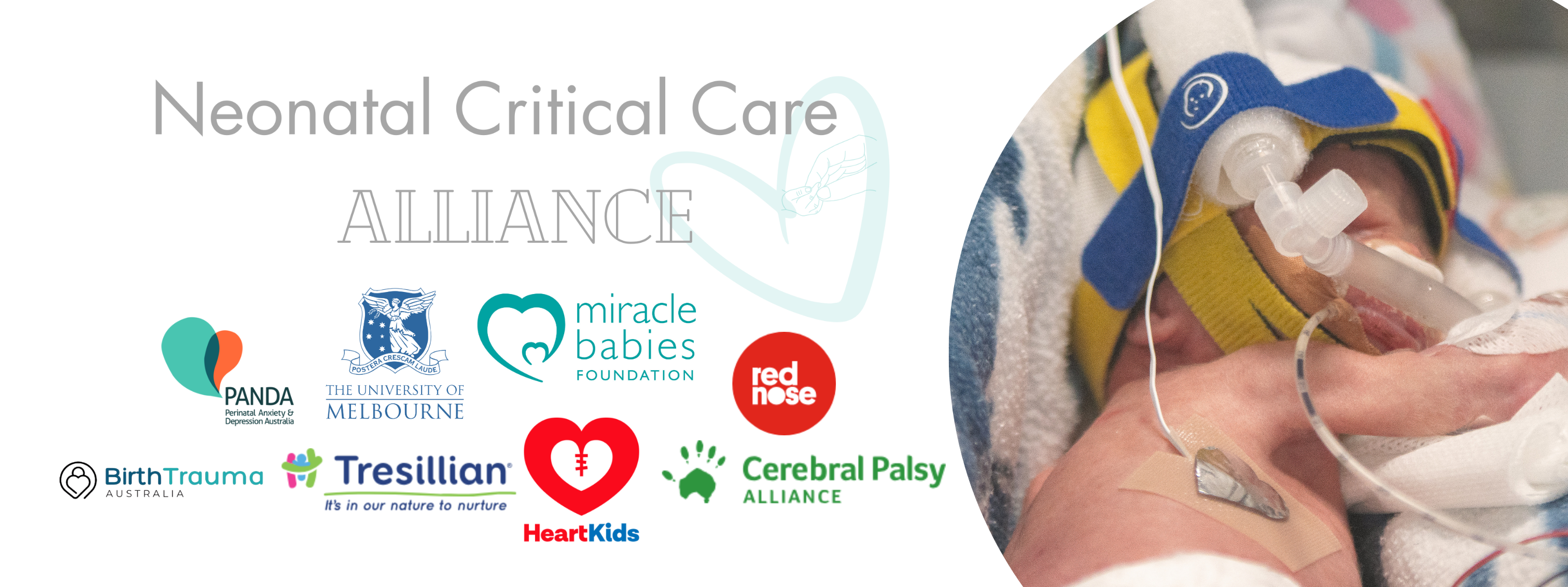 NCC Alliance organisations